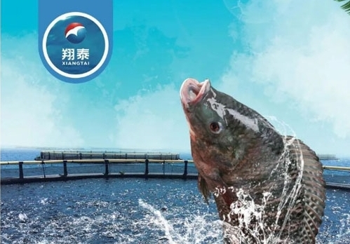 翔泰漁業(yè)深耕【海南鯛】近二十年，堅(jiān)持高品質(zhì)水產(chǎn)品穩(wěn)定供應(yīng)，不斷創(chuàng)新研發(fā)產(chǎn)品以滿足不同市場(chǎng)需求！