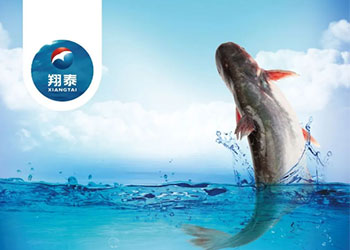 繼金鯧魚、海南鯛之后！翔泰漁業(yè)全力打造第三條精品魚【海南巴沙魚】
