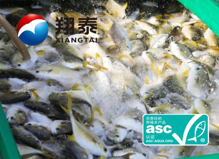 全球首家！海南翔泰漁業(yè)榮獲全球首張ASC金鯧魚網(wǎng)箱養(yǎng)殖認(rèn)證證書