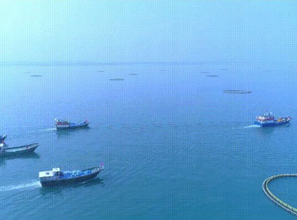 首批漁獲——翔泰2023金鯧魚全面開捕，從南海到餐桌，全程可追溯！